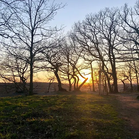アパート Grosse Wanderunterkunft Am Hexentanzplatz U ターレ
